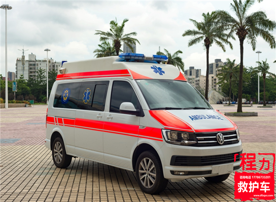 ����Caravelle����·�����߶��໤�;Ȼ���